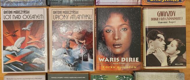 Zestaw 22 książek różnych autorów