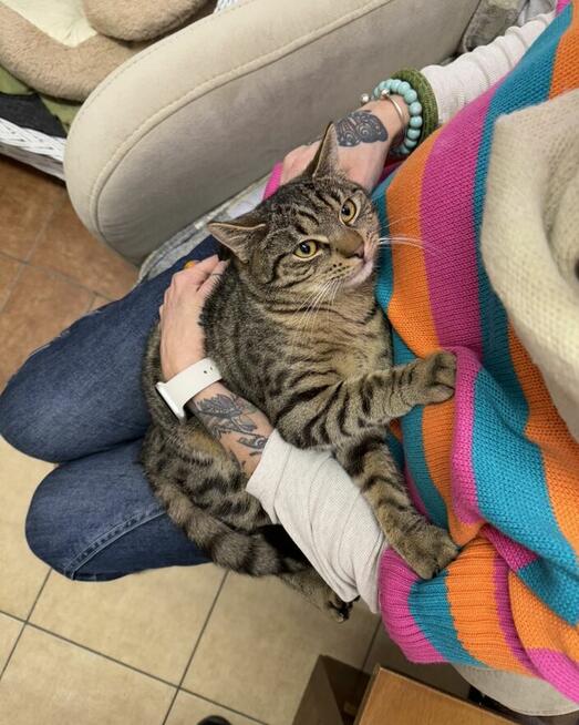 Sebastian / Samsung - młodzik piękny i delikatny