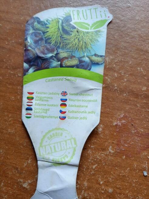 Sprzedam tanio rośliny z mojego ogrodu