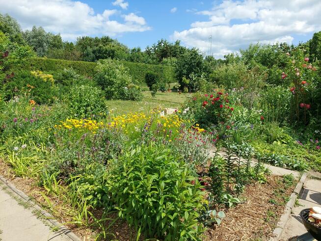 Działka ROD 385m2 z altaną 30,6m2 w Śremie