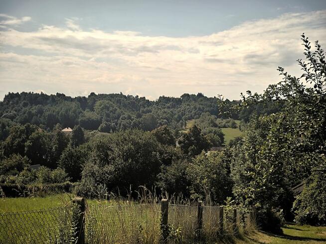 Dom Grojec gm. Alwernia,