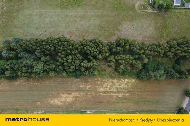 Działka budowlana Rydzyny