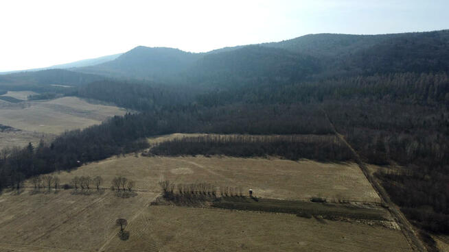 Działka leśna Pielgrzymka gm. Osiek Jasielski