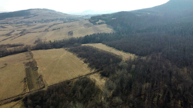Działka leśna Pielgrzymka gm. Osiek Jasielski