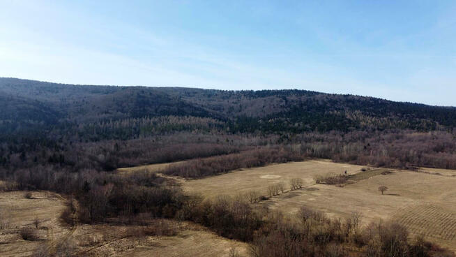 Działka leśna Pielgrzymka gm. Osiek Jasielski