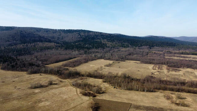 Działka leśna Pielgrzymka gm. Osiek Jasielski