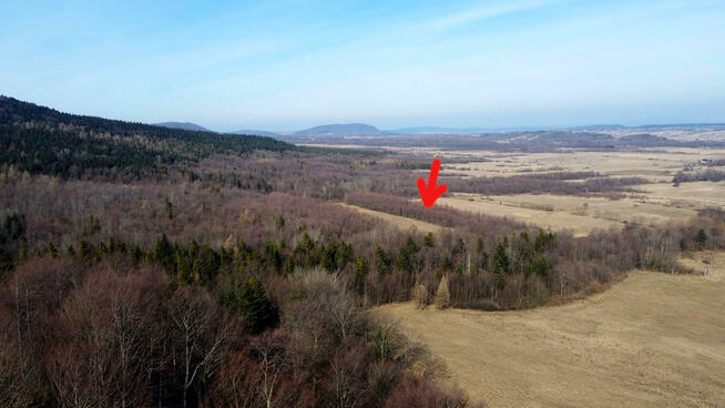 Działka leśna Pielgrzymka gm. Osiek Jasielski