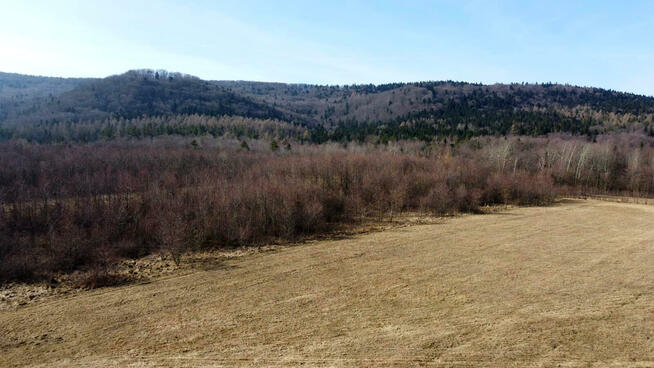 Działka leśna Pielgrzymka gm. Osiek Jasielski