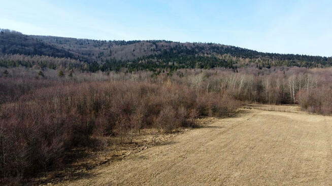 Działka leśna Pielgrzymka gm. Osiek Jasielski