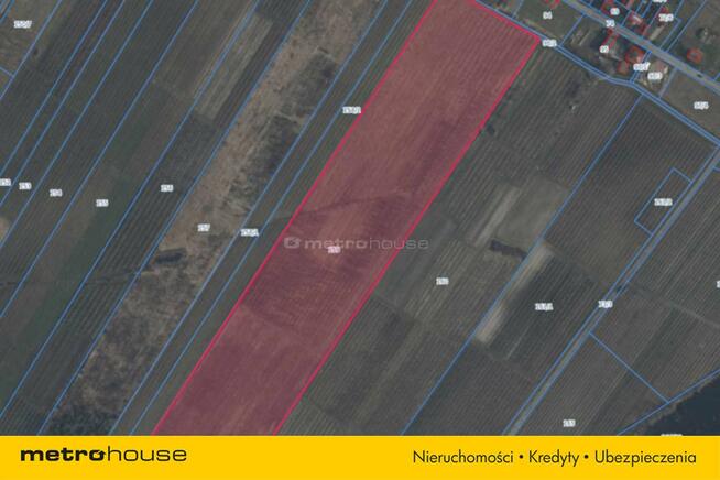 5 ha w jednym kawałku - Potycz, 40 km od Warszawy