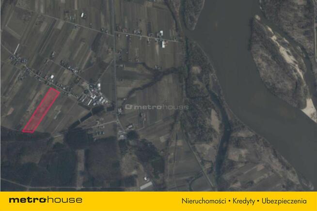 5 ha w jednym kawałku - Potycz, 40 km od Warszawy