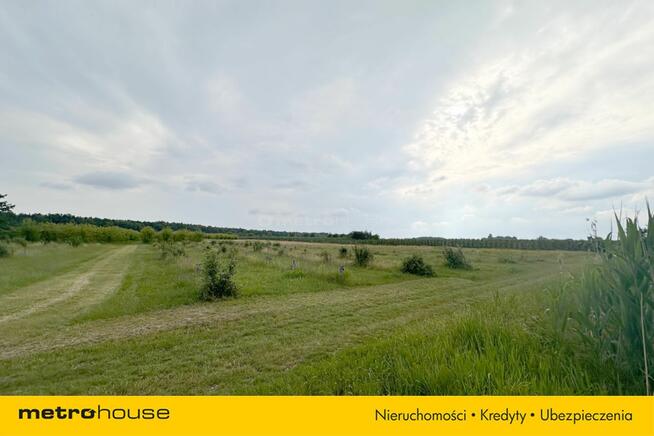 5 ha w jednym kawałku - Potycz, 40 km od Warszawy