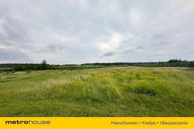 5 ha w jednym kawałku - Potycz, 40 km od Warszawy