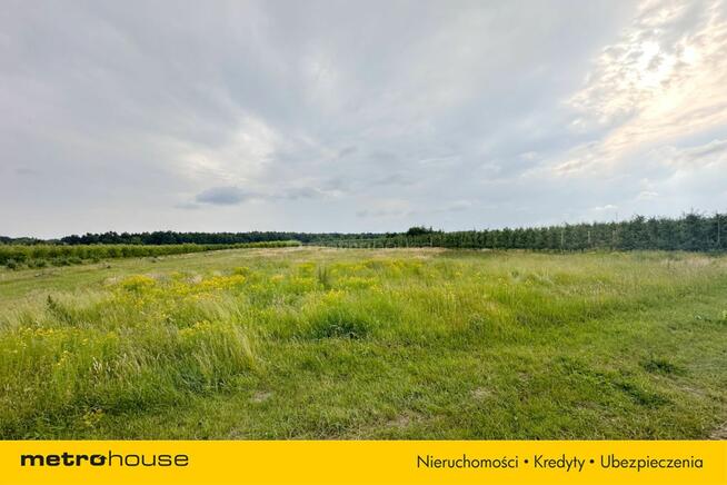 5 ha w jednym kawałku - Potycz, 40 km od Warszawy
