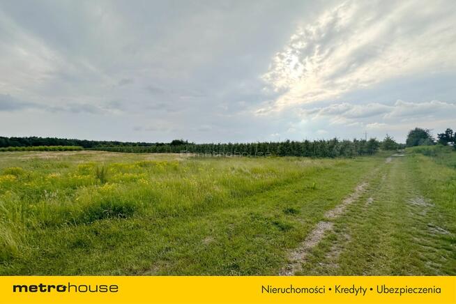 5 ha w jednym kawałku - Potycz, 40 km od Warszawy