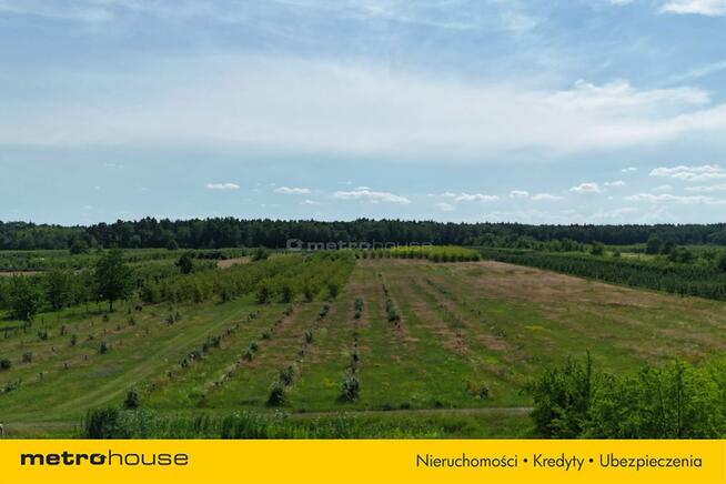 5 ha w jednym kawałku - Potycz, 40 km od Warszawy