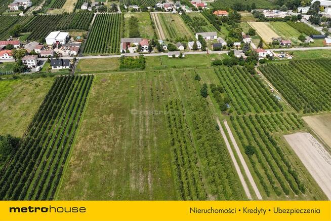 5 ha w jednym kawałku - Potycz, 40 km od Warszawy