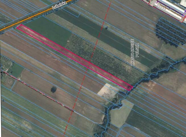 Działka rolna 1,3384 ha | ul. Lubelska | Łosice