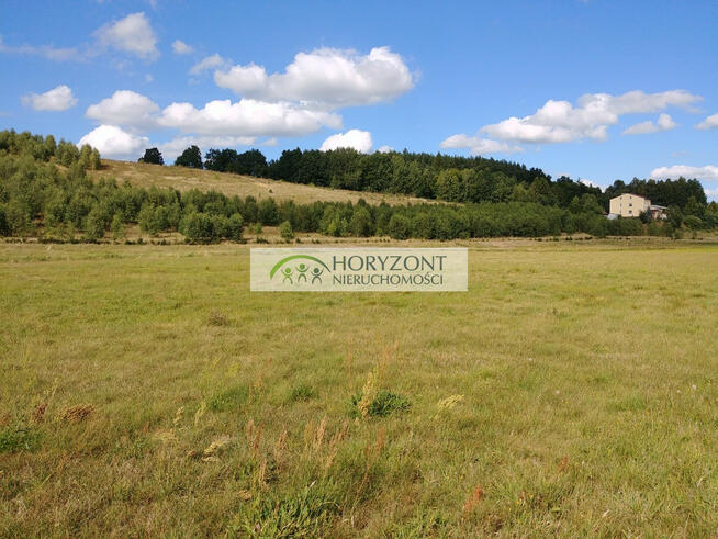 Donimierz - duża działka rekreacyjna