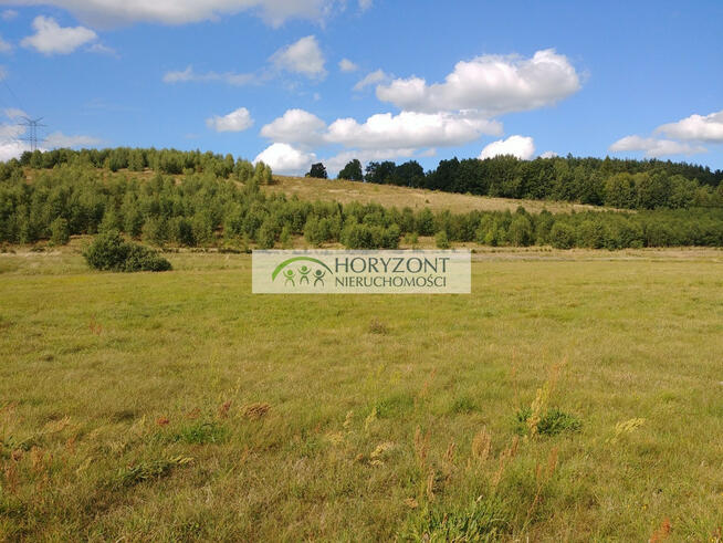 Donimierz - duża działka rekreacyjna