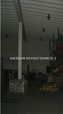 Lokal użytkowy Opacz-Kolonia gm. Michałowice