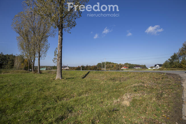 Działka 46 ar Machowa przy DK94, ze zjazdem