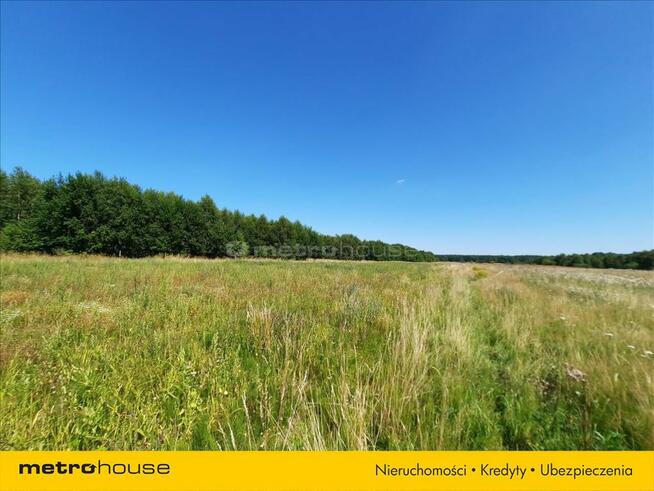 Działka 11 a, blisko jeziora Jamno.