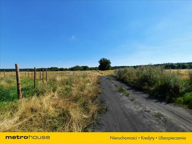 Działka 11 a, blisko jeziora Jamno.