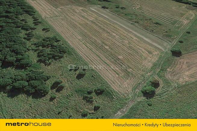 Działka 11 a, blisko jeziora Jamno.