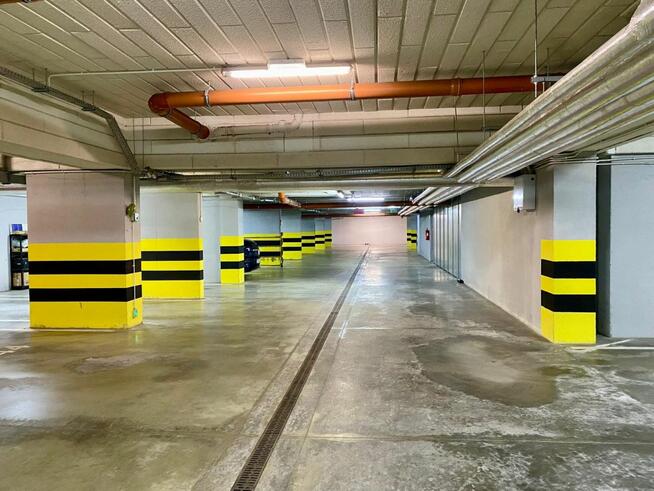 Mieszkanie Łódź gm. Łódź-Polesie Polesie, Pienista