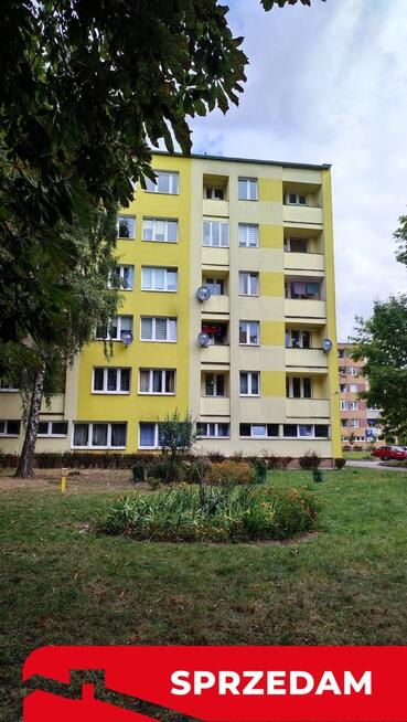 Dwupokojowe mieszkanie w centrum Świdnika