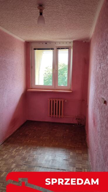 Dwupokojowe mieszkanie w centrum Świdnika