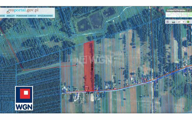 Działka siedliskowa Albertów gm. Puchaczów Albertów II, Albertów II
