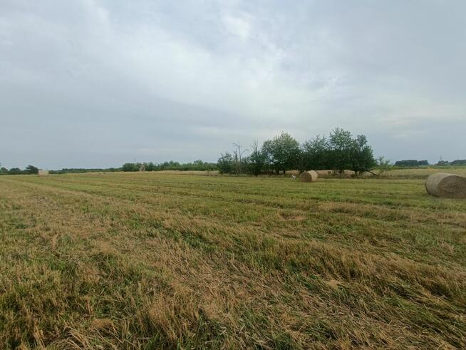 Działka budowlana Tąpkowice gm. Ożarowice, Brynicka