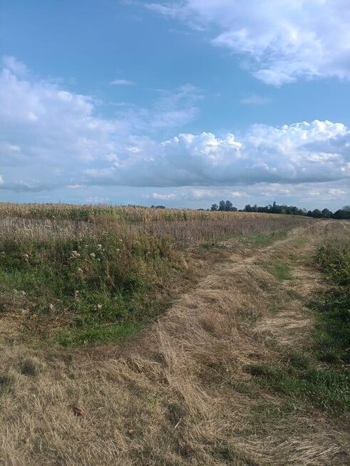Sprzedam ziemie orną