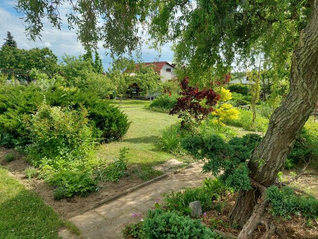 Działka ROD 385m2 z altaną 30,6m2 w Śremie