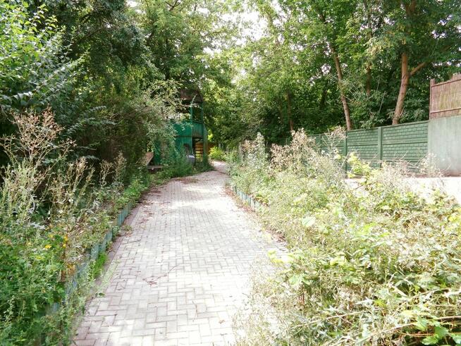 Sompolno – Lokal Handlowo/Usługowy