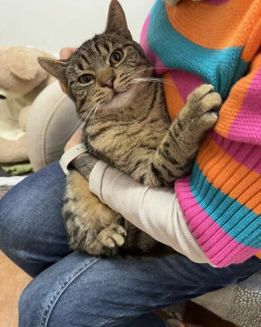 Sebastian / Samsung - młodzik piękny i delikatny