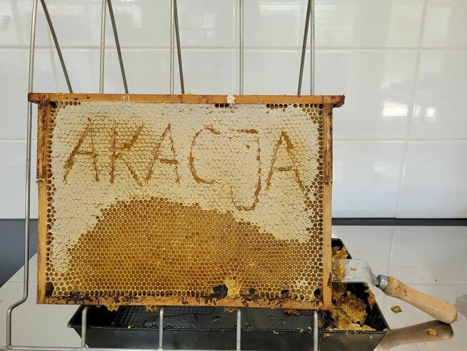 Ule firmowe • Miód z logo firmy • CSR • Pasieka Dzika Natura