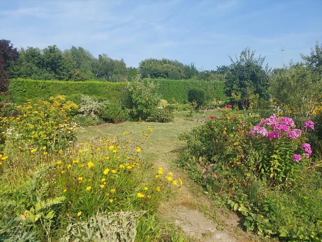 Działka ROD 385m2 z altaną 30,6m2 w Śremie