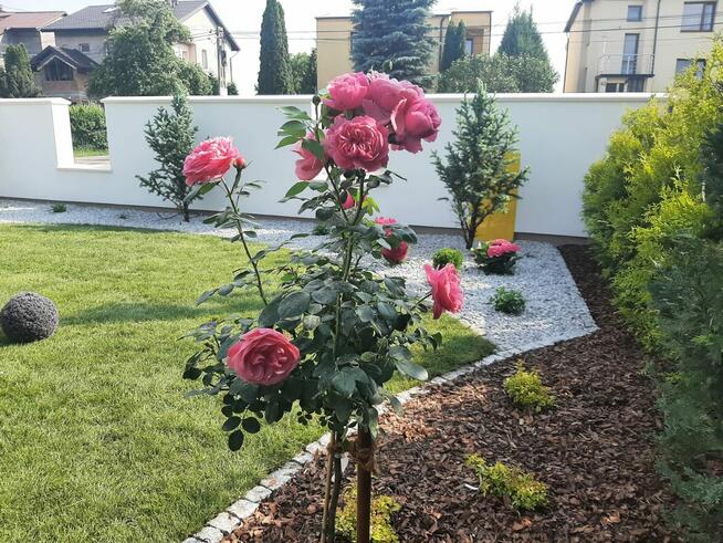 Projektowanie, wykonywanie ogrodów w Kielcach i okolicach