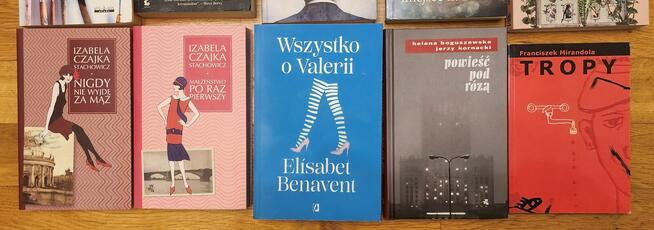 Zestaw 22 książek różnych autorów