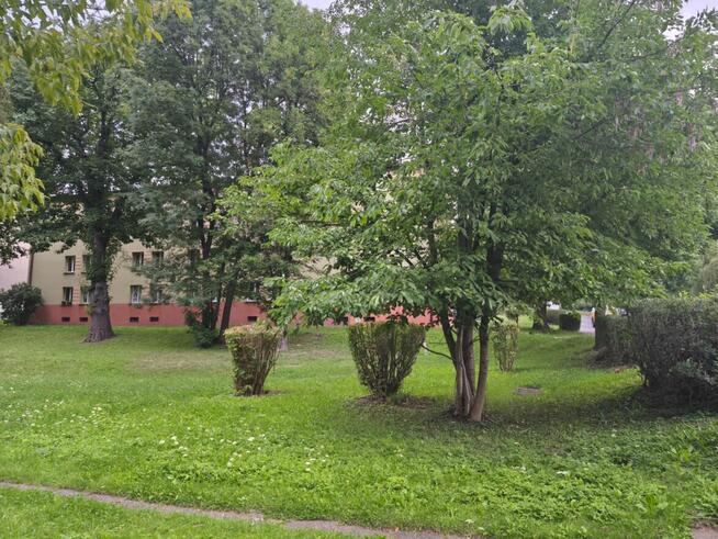 Wyjątkowe mieszkanie - 3 pokoje