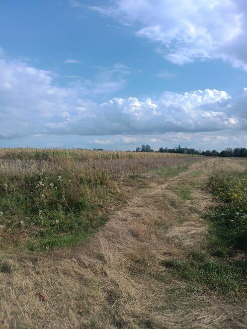 Sprzedam ziemie orną