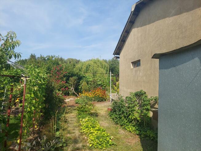 Działka ROD 385m2 z altaną 30,6m2 w Śremie