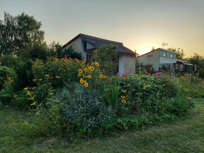 Działka ROD 385m2 z altaną 30,6m2 w Śremie