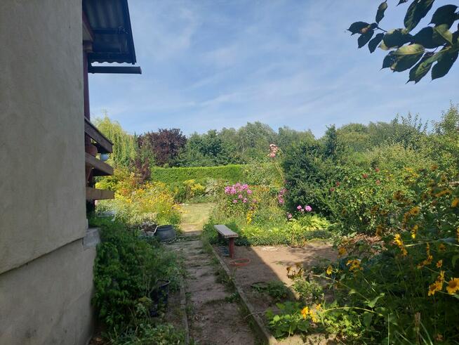 Działka ROD 385m2 z altaną 30,6m2 w Śremie