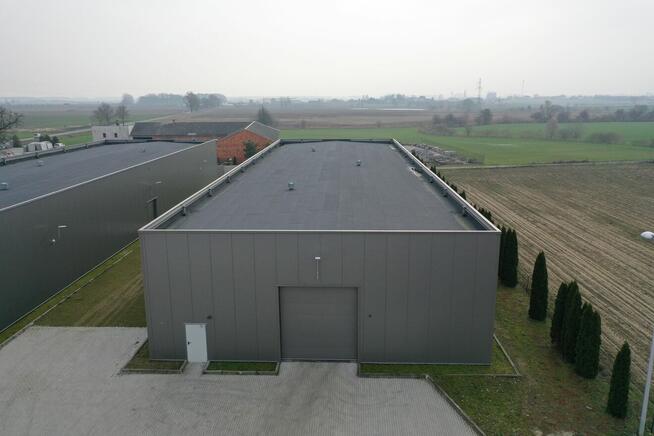 Kompleks hal 1960 m² z placem – Rzegnowo (Koncepcja 1)