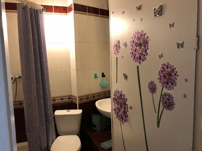 Poznań 3 pok dla Studentów przy U Przyrodniczym