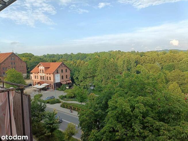 Na sprzedaż przytulne, mieszkanie o powierzchni blisko 37 m²